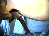 Horse dick got jacked off until animal orgasm